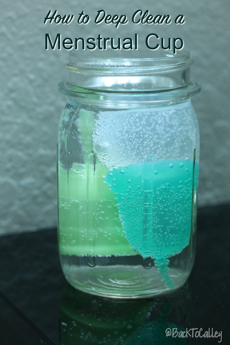 Deep Clean Menstrual Cup