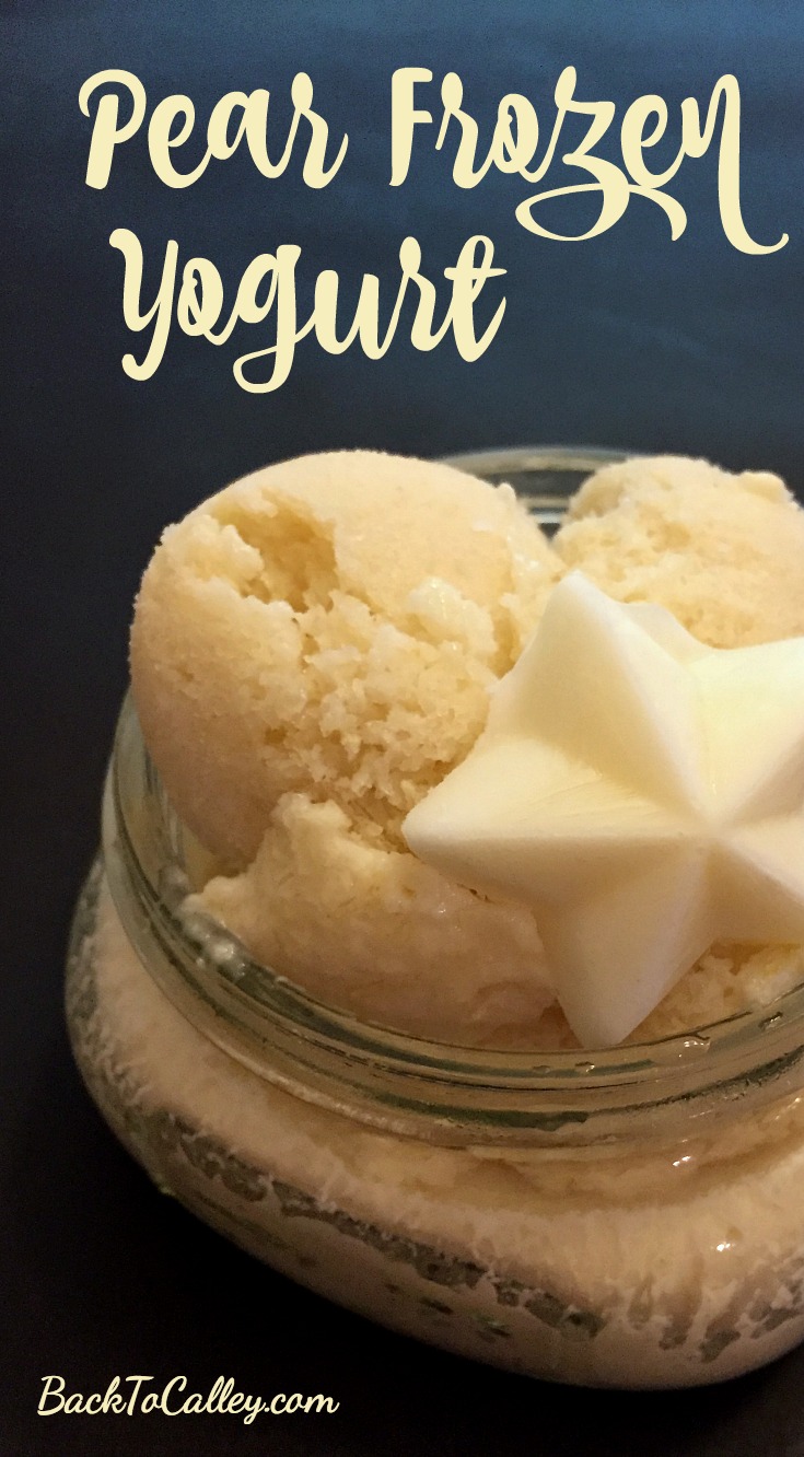 Pear Frozen Yogurt Recipe