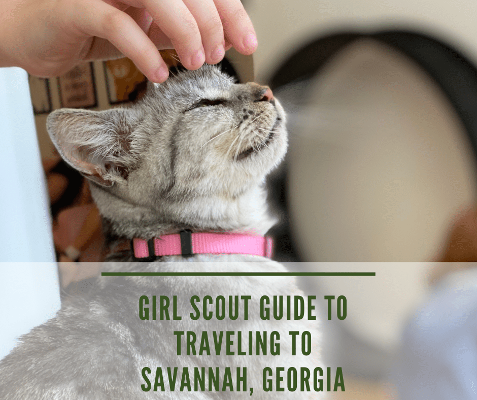 Girl Scouts Traveling to Savannah