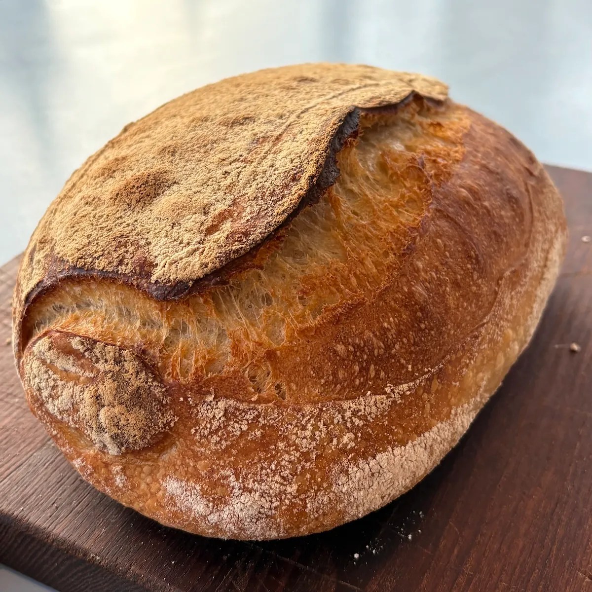Surdejsbrød