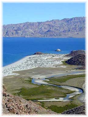 Resultado de imagen para bahia de las animas baja california