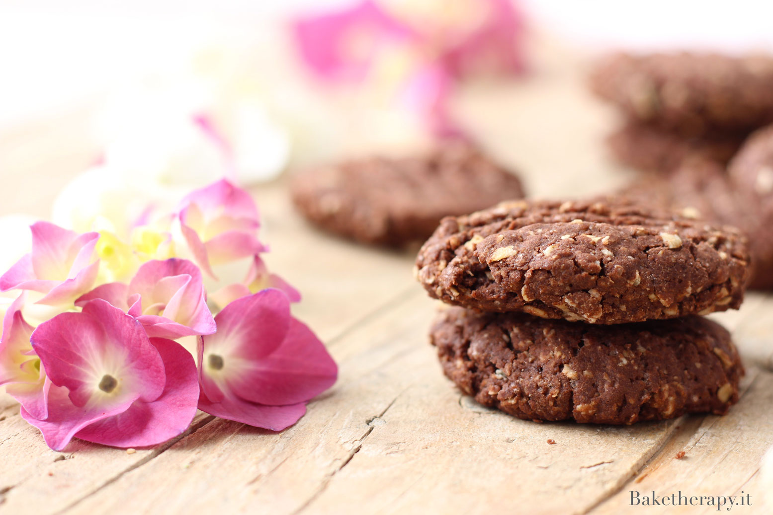 Biscotti vegani al cacao