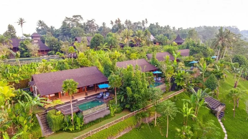 Ubud Valley Boutique Resort in Bali, offering a tranquil private pool overlooking lush rice terraces.