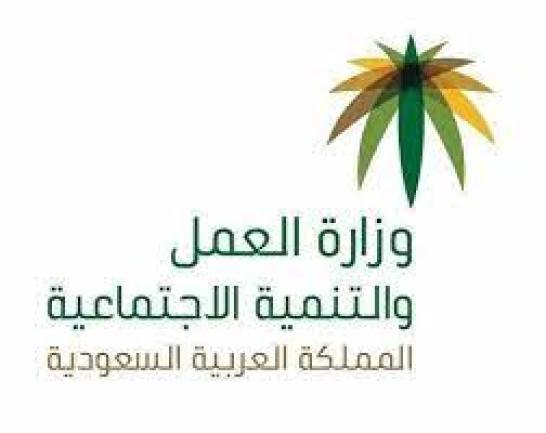 رابط وزارة العمل الخدمات الإلكترونية | حجز موعد الضمان الاجتماعي 1442 5 رابط وزارة العمل الخدمات الإلكترونية | حجز موعد الضمان الاجتماعي ١٤٤٢