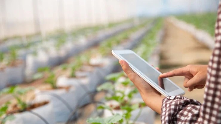 Pinjaman Agrobank untuk Pertanian