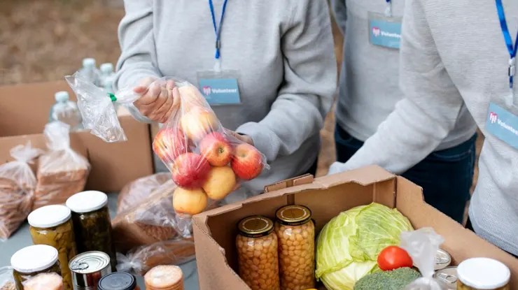 Semakan Bantuan Makanan B40