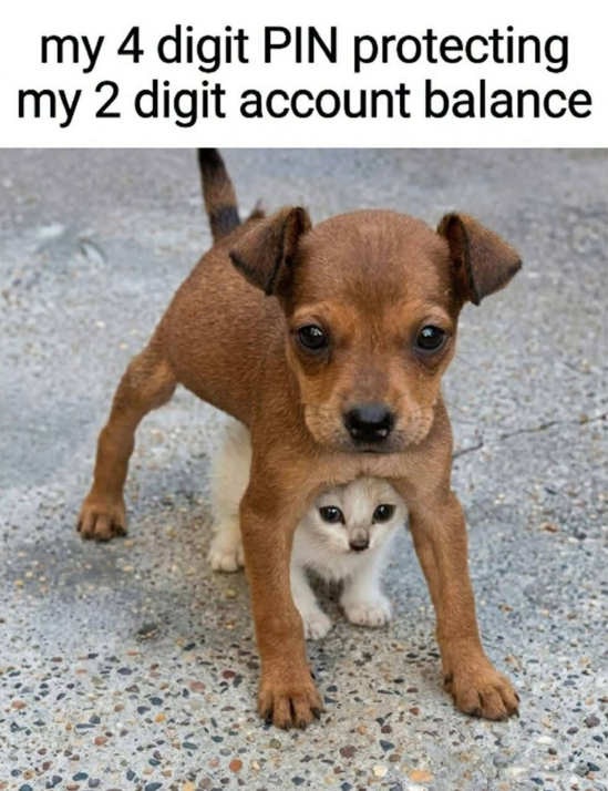 comment image