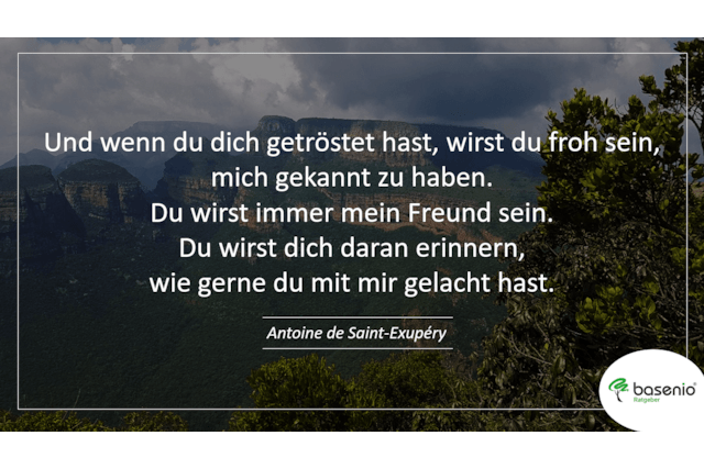 100 Persönliche Trauersprüche Für Freunde & Bekannte 427_x_640_png