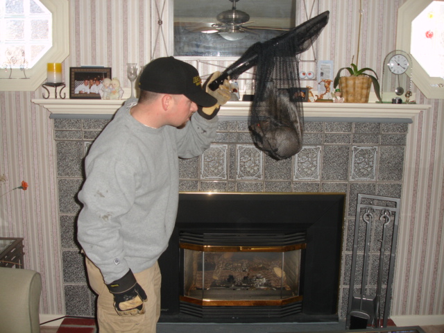 Chimney Maintenance Repair Ultimate Chimney Sweep Ultimate Chimney Sweep