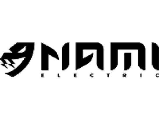 nami electric logo