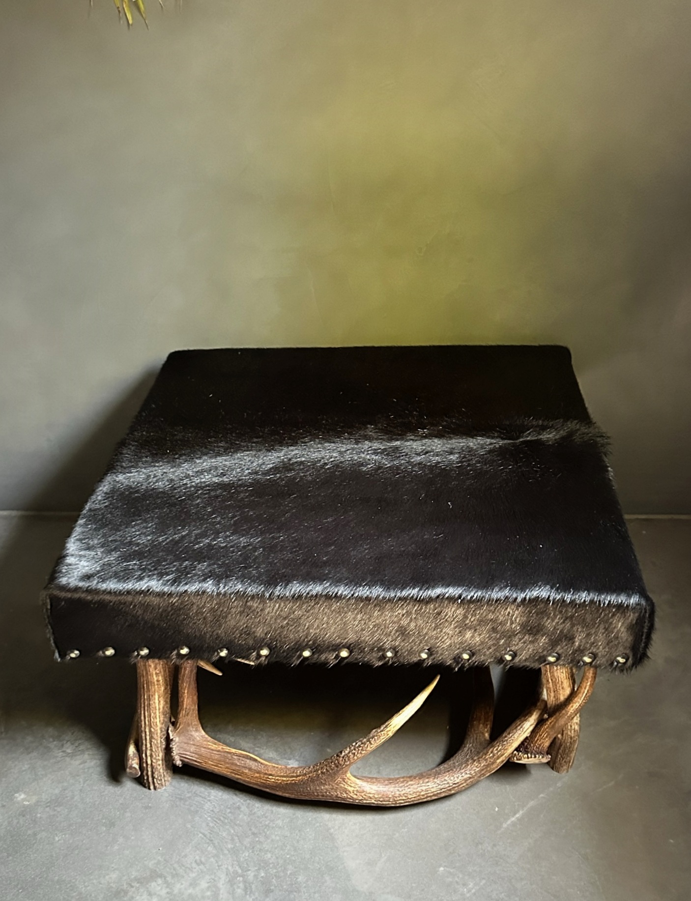 Antler coffee table