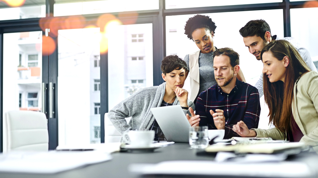 Why Beeline Beeline - Best Nature Designs in Ultra HD