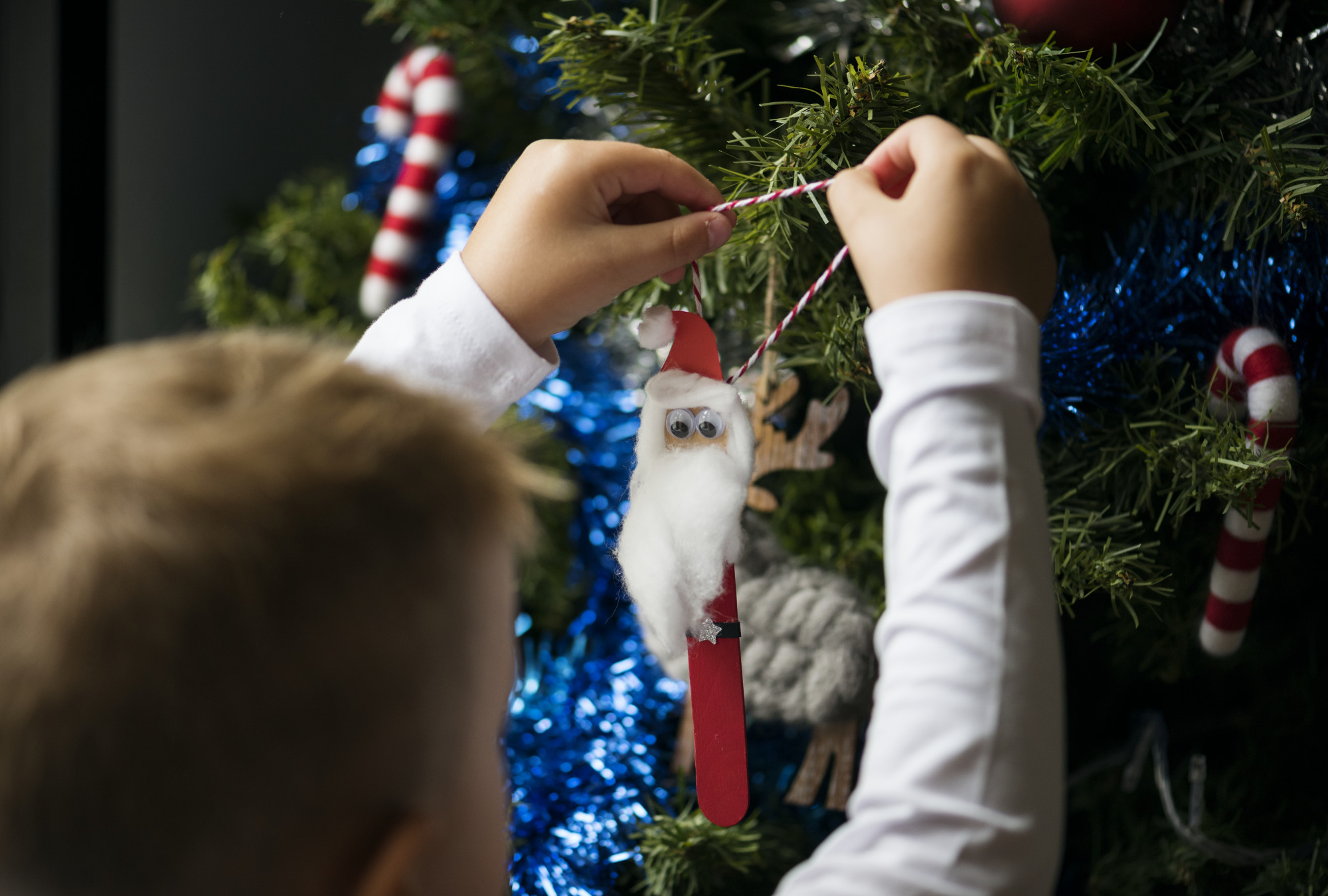 Image de Concours sapins de Noël