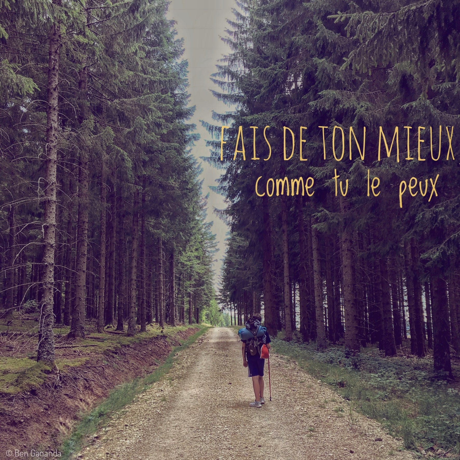 chemin droit au milieu d'une foret