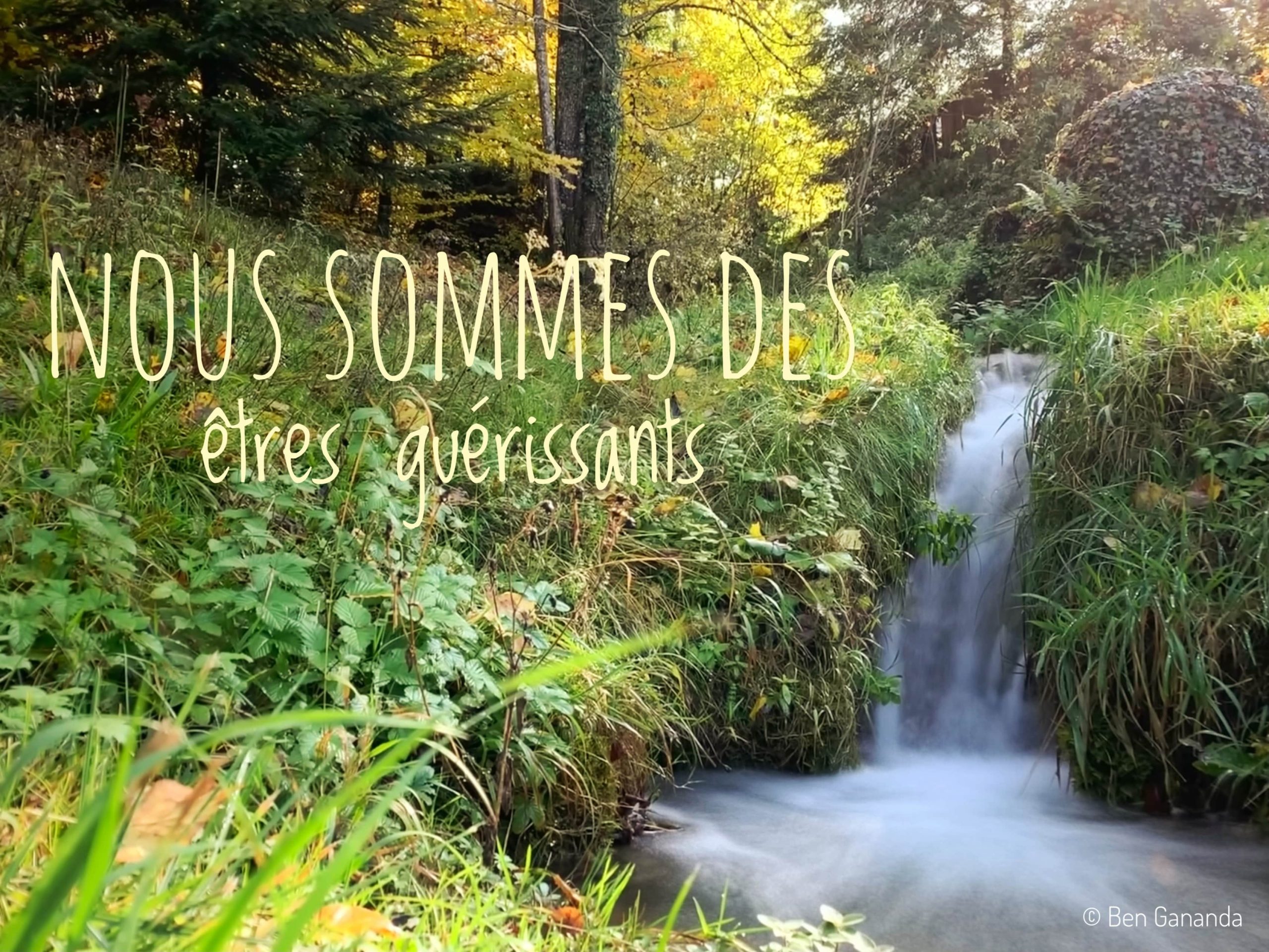 Mini cascade dans la foret