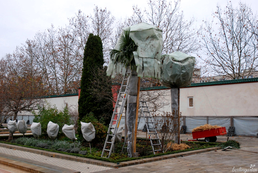 Gartenwissen Bellaflora