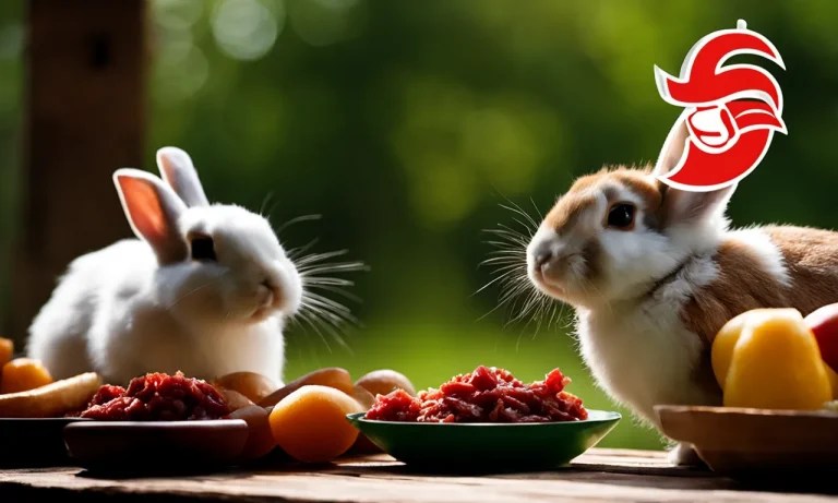 When is rabbit mating season? a complete guide