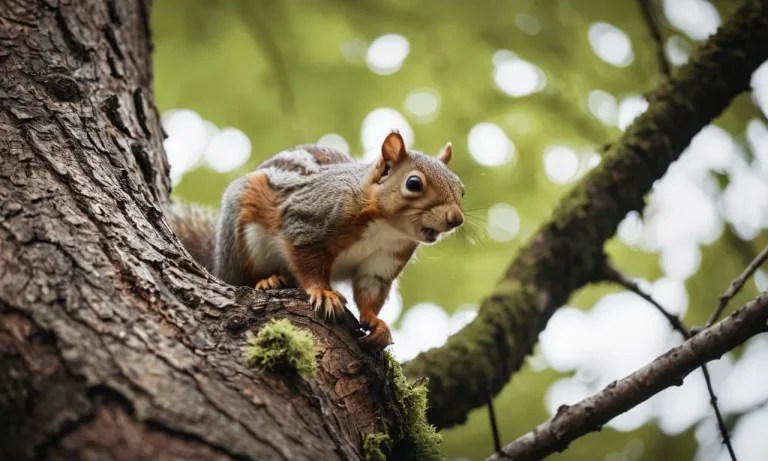 The complex lives of non-sentient animals