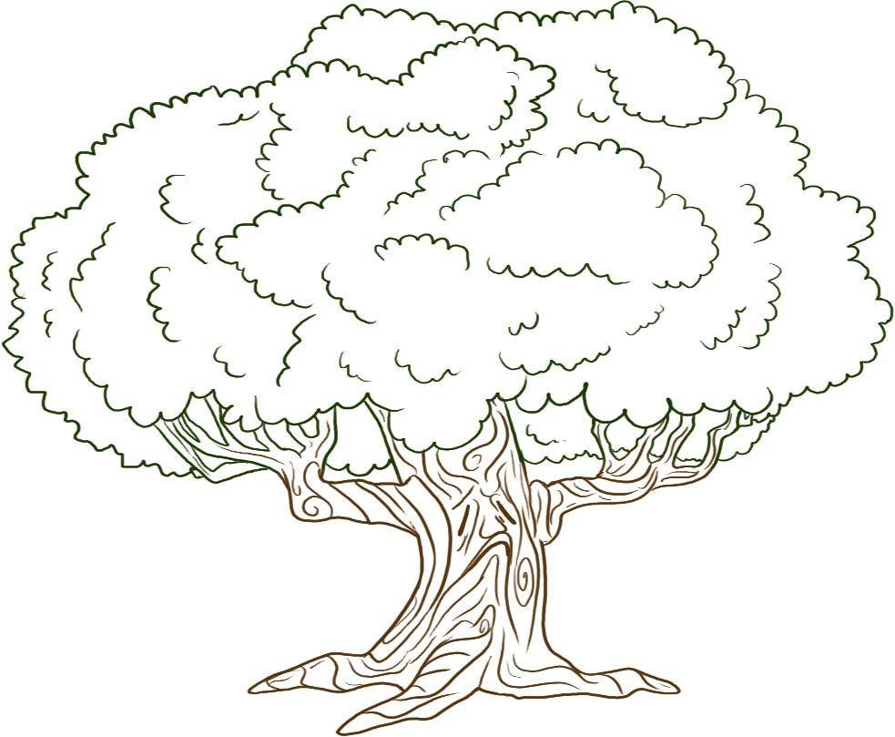 Free printable tree coloring pages for kids