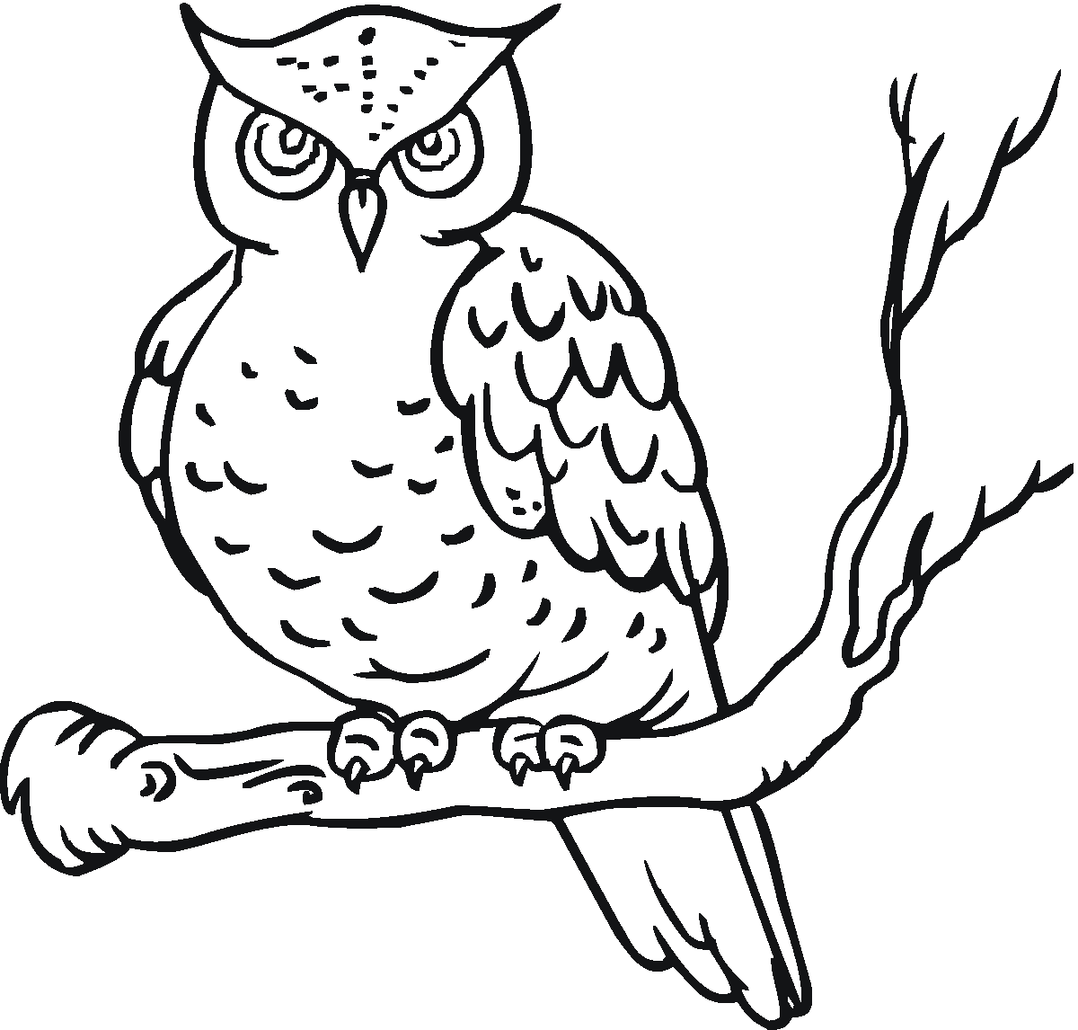 Free printable owl coloring pages for kids