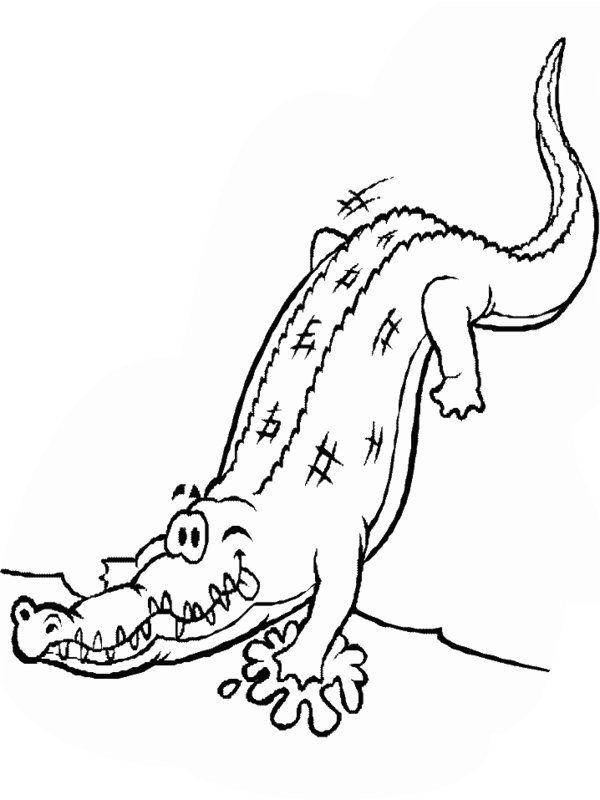 Baby crocodile coloring page from crocodile category. Free Printable Crocodile Coloring Pages For Kids