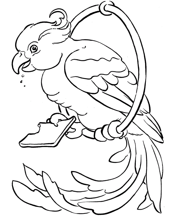 Free printable parrot coloring pages for kids