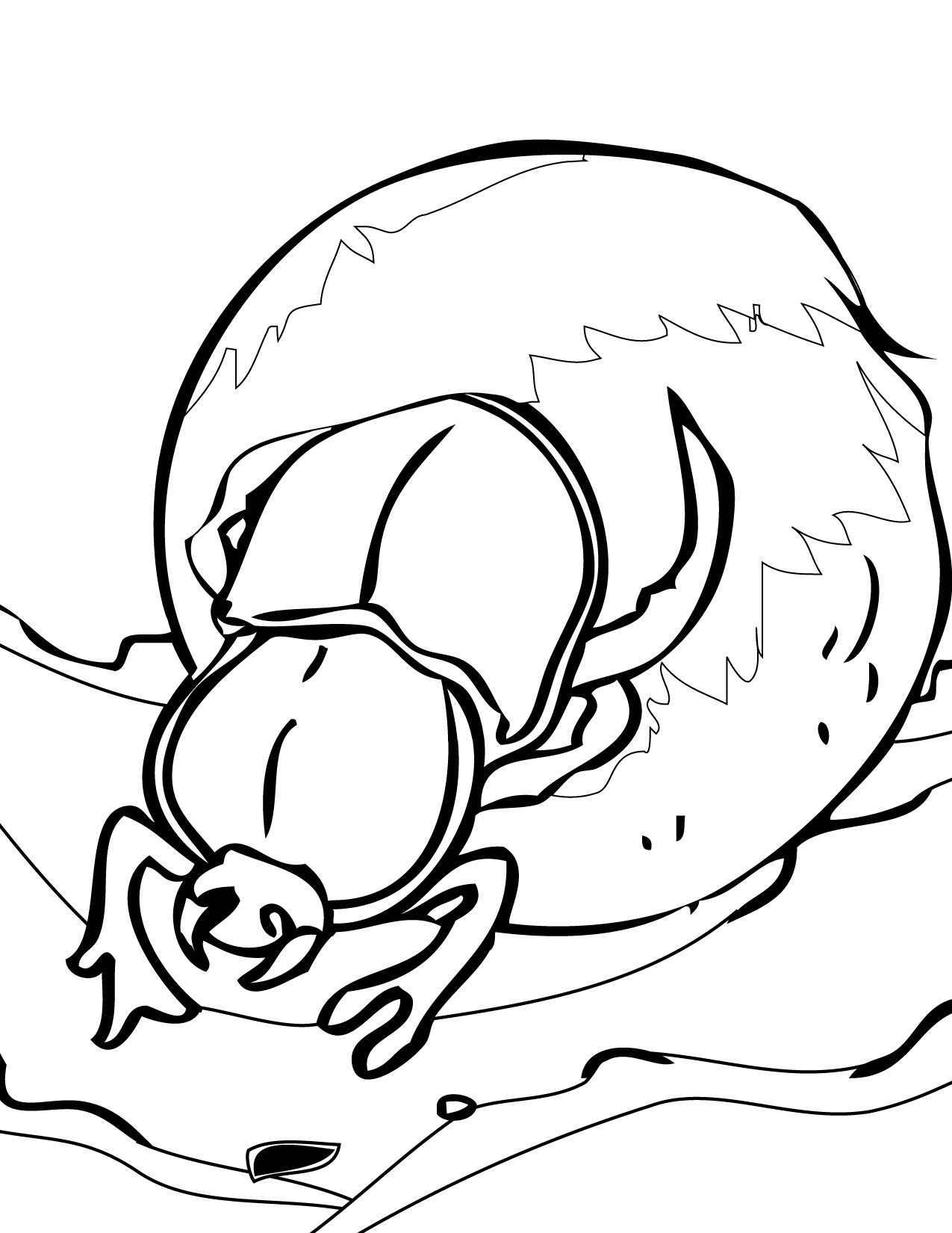 free printable bug coloring pages for kids