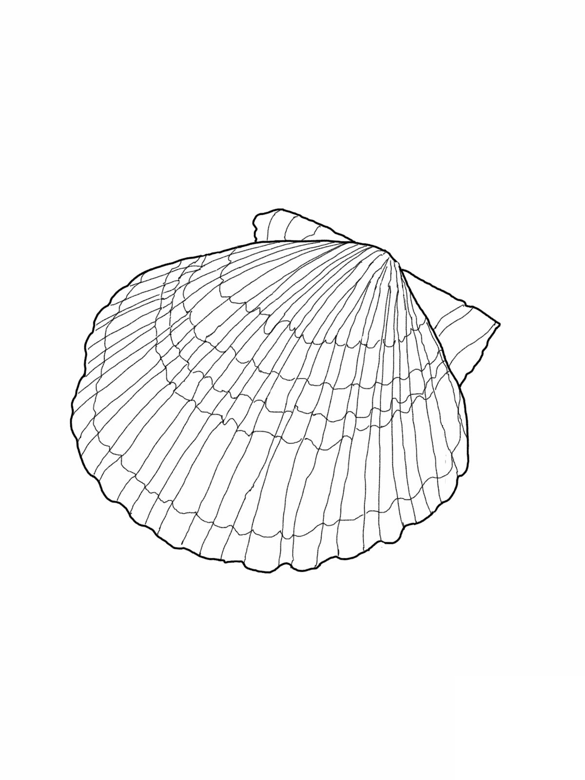 But instead of getting easier, selling franchises overseas is getting more challenging. Free Printable Seashell Coloring Pages For Kids