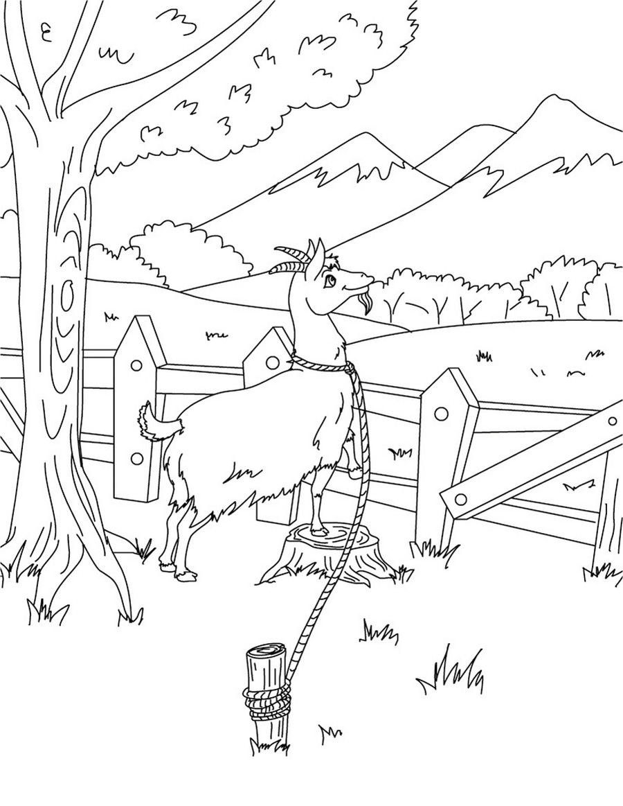 They have erect ears and come in many colors and color combinations. Free Printable Goat Coloring Pages For Kids
