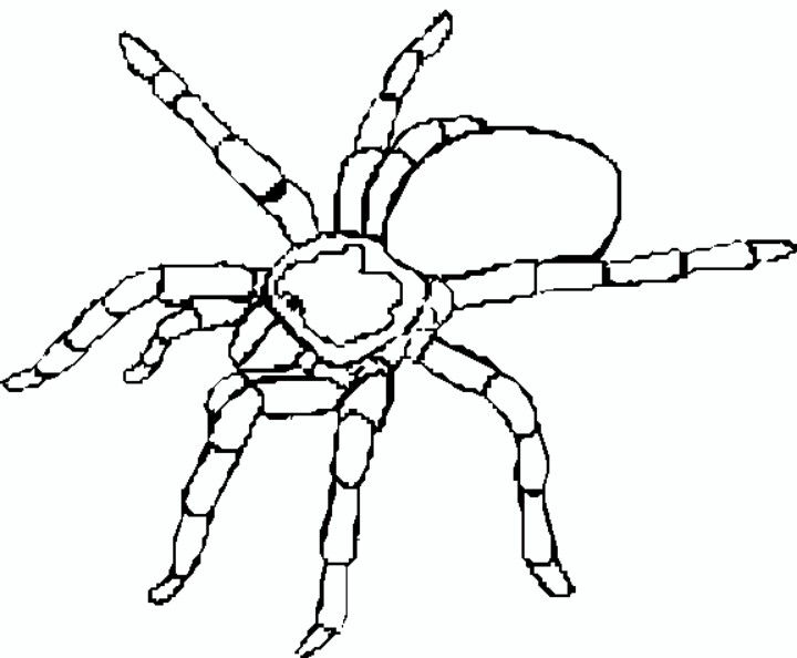 It's a great tool to inspire discussion . Tarantula Coloring Pages - Best Coloring Pages For Kids