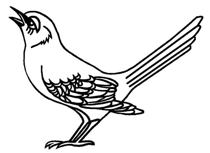 Whitepages is a residential phone book you can use to look up individuals. Mockingbird Coloring Pages Best Coloring Pages For Kids