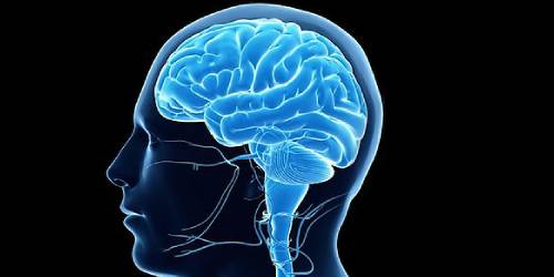 What Is Your Brain Age Quiz Bestfunquiz