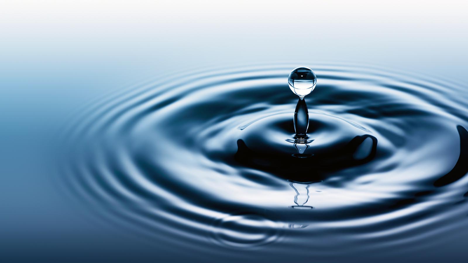 De kracht van water in de tuin