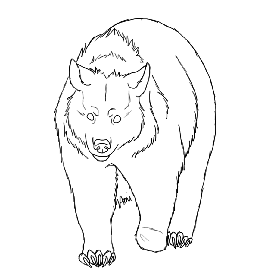 Bears coloring pages