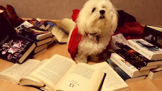 When books hit you like a mack truck …