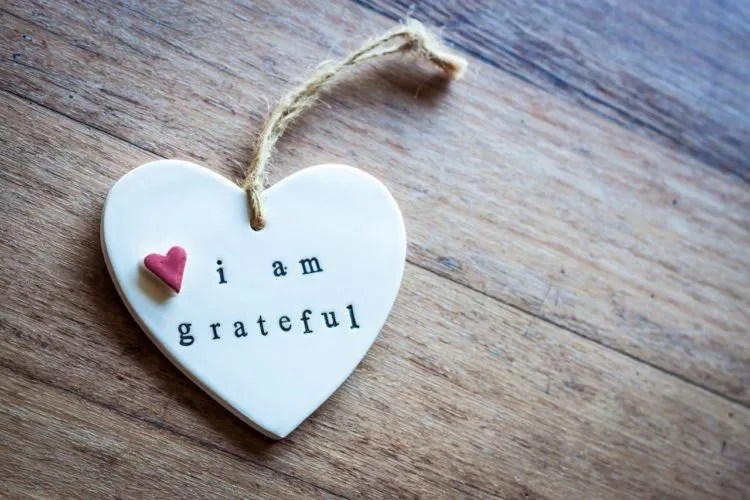 Feeling grateful  and other news