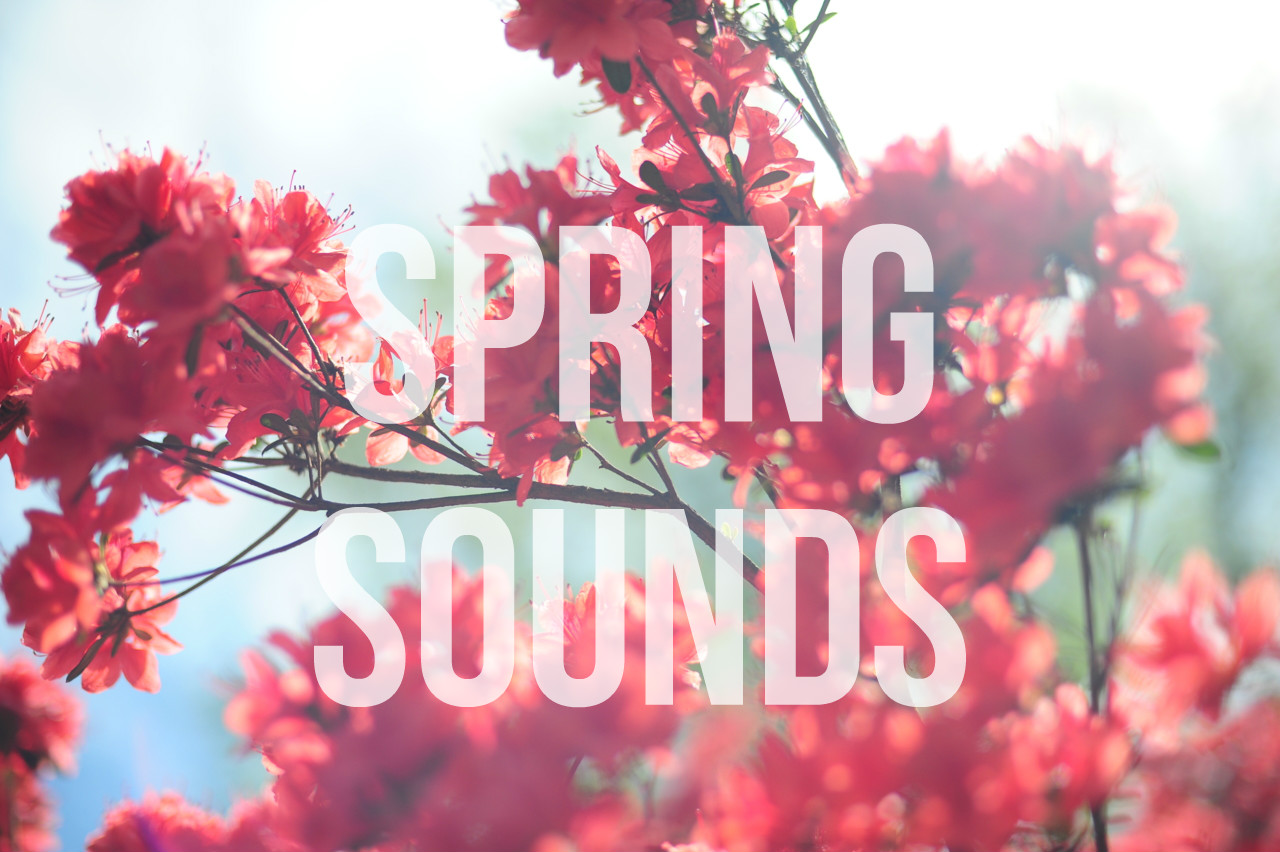 Six Songs for Your Spring Playlist | Beyond The Stage Magazine