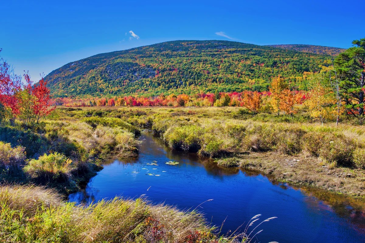 11 places you can go free camping in massachusetts