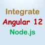 Integrate Angular 15/14/13/12 With Node.js Restful Services - BezKoder