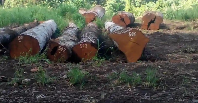 Faktor yang Mempengaruhi Harga Kayu Belian Faktor yang Mempengaruhi Harga Kayu Belian