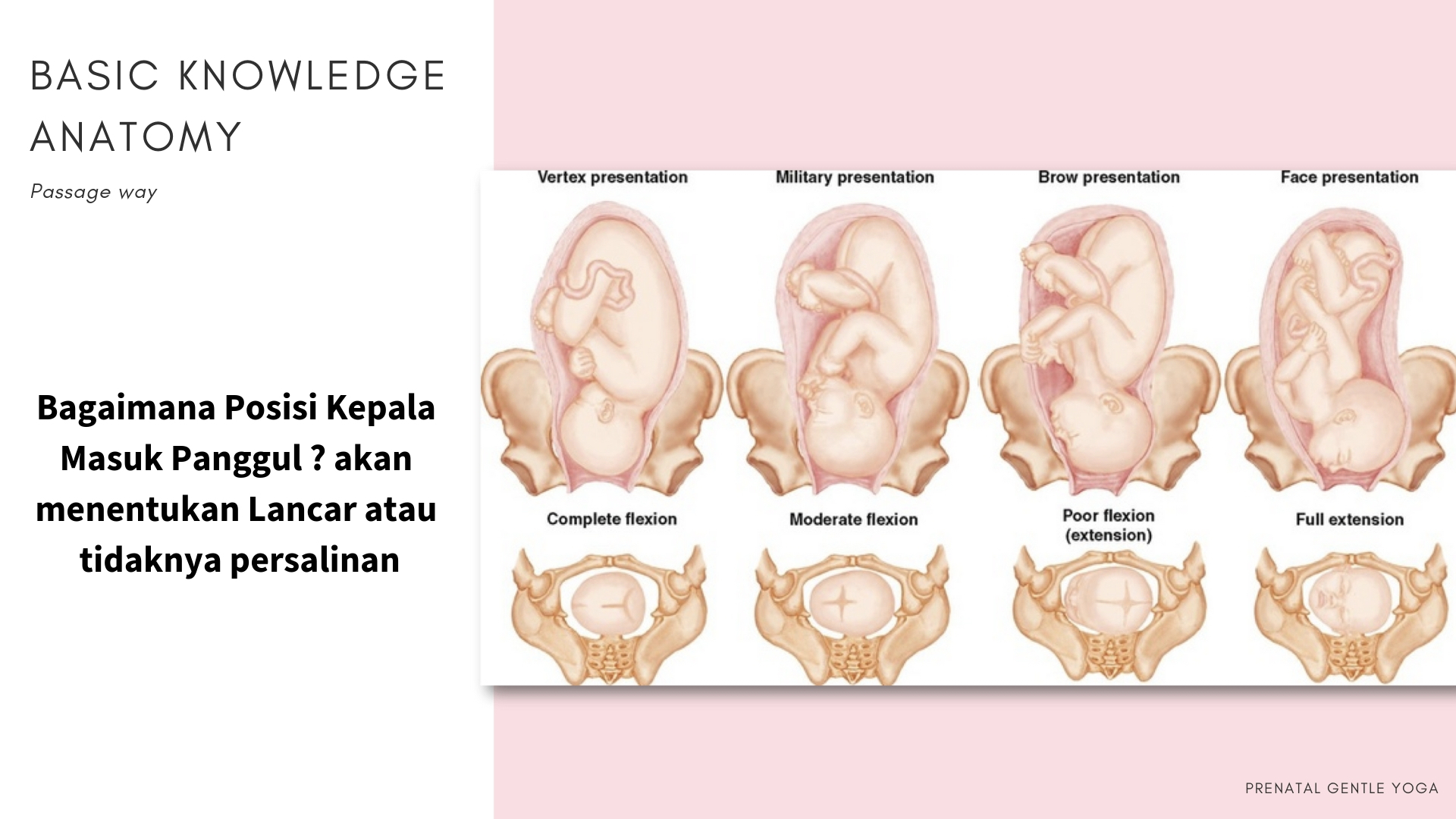 Kenali Ligament pada Panggul dan Rahim mu - Page 2 of 4 - Bidan Kita