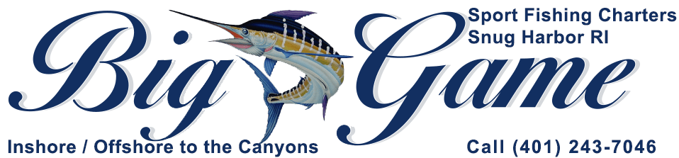 They know where to go to bring in alot of . Big Game Fishing Ri