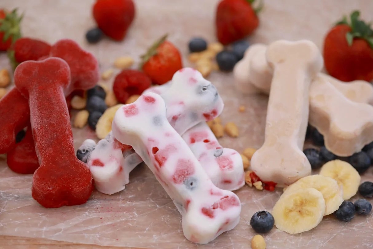 Diy Freeze Dried Dog Treats