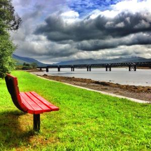 TD thriving photo journal