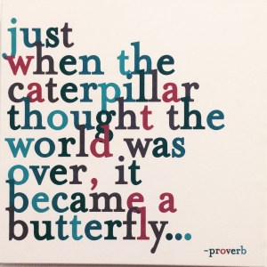 A gift from a friend  - thank you