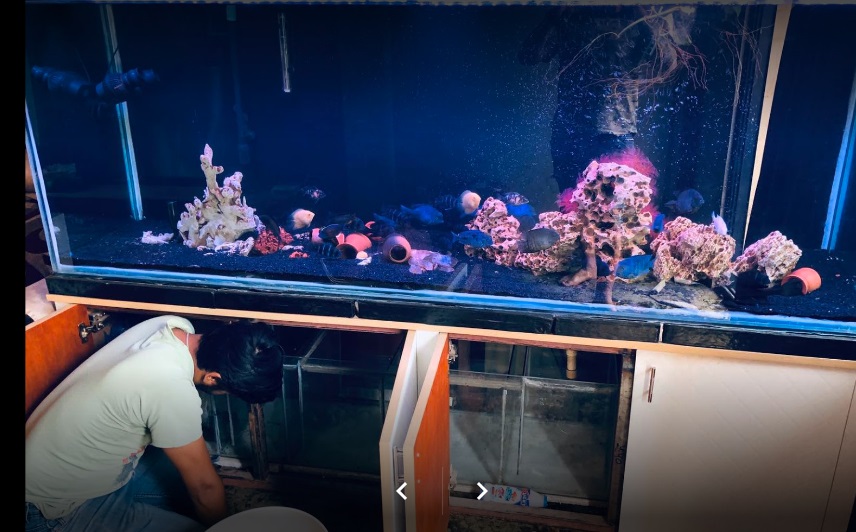 Deep Blue Dallu Swayambhu Kathmandu 