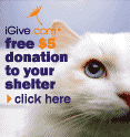 Billerica cat care coalition accepts a wide variety of donations