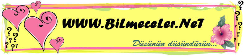 Bilmeceler Bilgicik Com