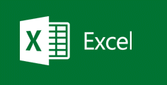Excel 2013 Logo