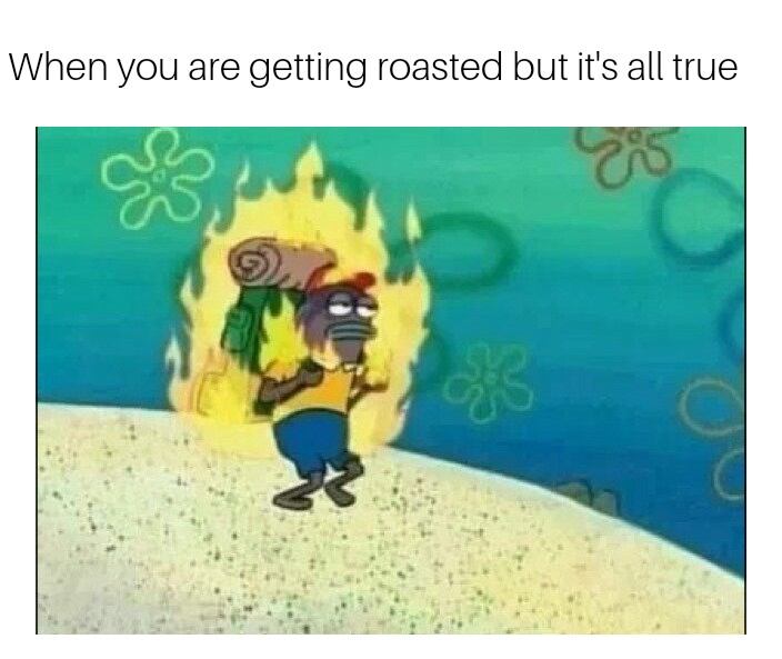 By dank memes make dank dreams. BACK